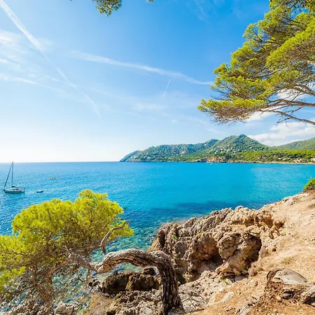 Massanet 1a Apartment Canyamel (Mallorca)